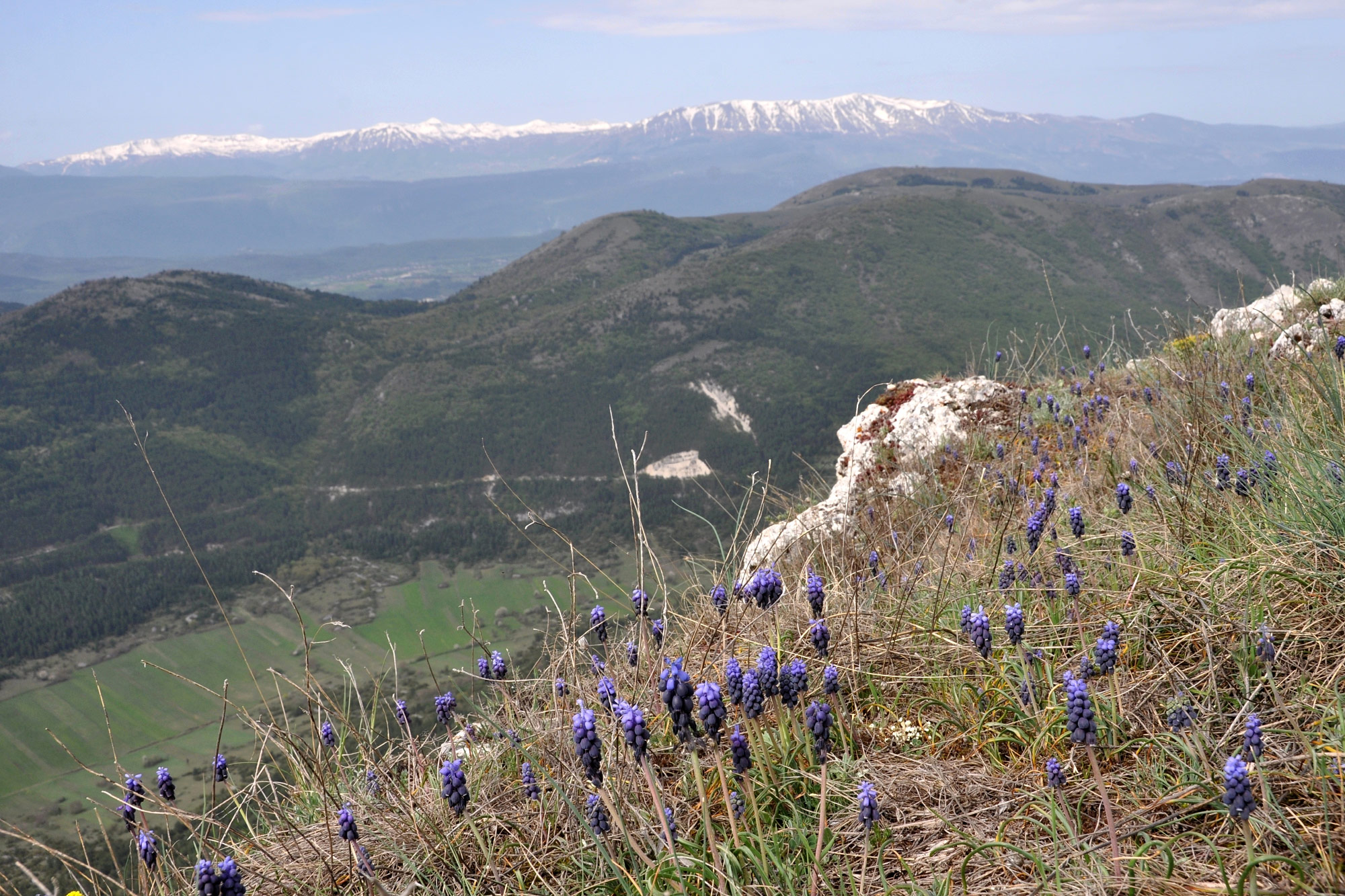 Prati di Tivo
